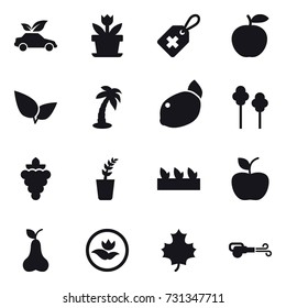 16 vector icon set : eco car, flower, palm, trees, grape, seedling, apple, pear, ecology, maple leaf, blower