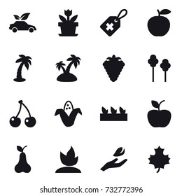 16 vector icon set : eco car, flower, palm, island, berry, trees, cherry, corn, seedling, apple, pear, sprouting, hand leaf, maple leaf