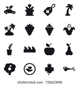 16 vector icon set : eco car, flower, palm, island, berry, grape, corn, seedling, apple, pear, garden, ecology, maple leaf, blower