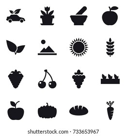 16 vector icon set : eco car, flower, landscape, berry, cherry, grape, seedling, apple, pumpkin, bread, carrot