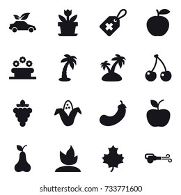 16 vector icon set : eco car, flower, flower bed, palm, island, cherry, grape, corn, eggplant, apple, pear, sprouting, maple leaf, blower