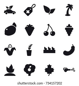 16 vector icon set : eco car, palm, berry, cherry, grape, corn, seedling, eggplant, sprouting, garden, maple leaf, blower