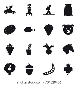 16 vector icon set : eco car, dna modify, tourist, berry, pig, grape, seedling, beet, horse, garden, acorn, peas, maple leaf