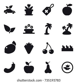16 vector icon set : eco car, flower, flower bed, palm, island, berry, cherry, seedling, eggplant, apple, pear, ecology