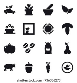 16 vector icon set : eco car, flower, flower bed, flower in window, coffee seeds, flour, pear, sheep, acorn, carrot, ecology