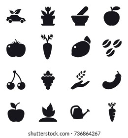 16 vector icon set : eco car, flower, coffee seeds, cherry, grape, harvest, eggplant, apple, sprouting, watering can, carrot