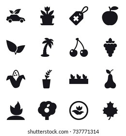 16 vector icon set : eco car, flower, palm, cherry, grape, corn, seedling, pear, sprouting, garden, ecology, maple leaf