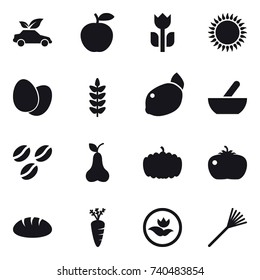 16 vector icon set : eco car, mortar, coffee seeds, pear, pumpkin, tomato, bread, carrot, ecology, rake
