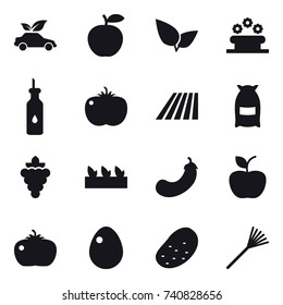 16 vector icon set : eco car, flower bed, field, flour, grape, seedling, eggplant, apple, tomato, egg, potato, rake