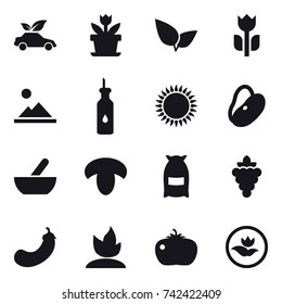 16 vector icon set : eco car, flower, landscape, mortar, mushroom, flour, grape, eggplant, sprouting, tomato, ecology