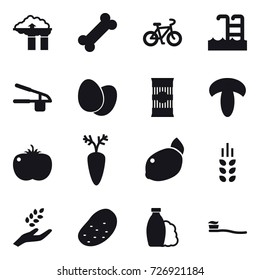 16 vector icon set : factory filter, bike, pool, garlic clasp, spikelets, harvest, potato, shampoo, tooth brush