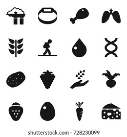 16 vector icon set : factory filter, smart bracelet, chicken leg, tourist, drop, berry, harvest, beet, strawberry, egg, carrot, cheese
