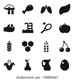 16 vector icon set : factory filter, chicken leg, pool, tennis, honeycombs, spikelets, cherry, corn, pear, jug, egg