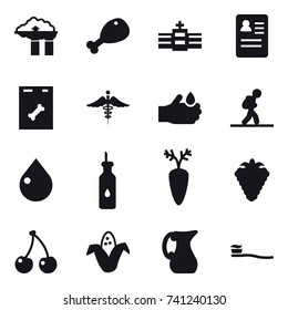 16 vector icon set : factory filter, chicken leg, tourist, drop, berry, cherry, corn, jug, tooth brush etc.