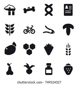 16 vector icon set : factory filter, bone, bike, walnut crack, honeycombs, berry, spikelets, pear, beet, pills bottle, strawberry