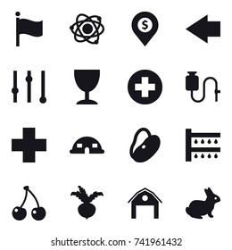 16 vector icon set : flag, atom, dollar pin, left arrow, equalizer, wineglass, dome house, watering, cherry, beet, barn, rabbit