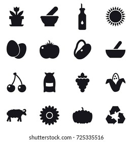 16 vector icon set : flower, mortar, cherry, flour, grape, corn, sheep, pumpkin, recycling