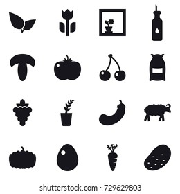 16 vector icon set : flower in window, cherry, flour, grape, seedling, eggplant, sheep, pumpkin, egg, carrot, potato