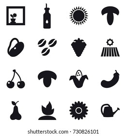 16 vector icon set : flower in window, coffee seeds, berry, field, cherry, mushroom, corn, eggplant, pear, sprouting, flower, watering can