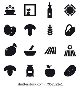 16 vector icon set : flower bed, flower in window, mortar, field, mushroom, flour, apple, potato