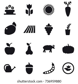 16 vector icon set : flower bed, field, grape, seedling, apple, pear, sheep, pumpkin, watering can, acorn, peas, ecology