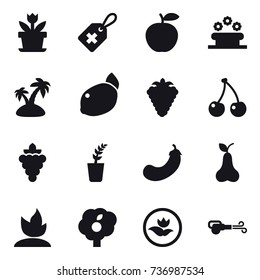 16 vector icon set : flower, flower bed, island, berry, cherry, grape, seedling, eggplant, pear, sprouting, garden, ecology, blower