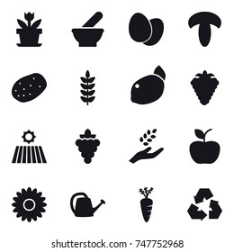 16 vector icon set : flower, berry, field, grape, harvest, apple, watering can, carrot, recycling