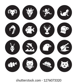 16 vector icon set : Goat, Chameleon, Cheetah, Clown fish, Crocodile, Cat, Flamingo, Donkey, Elk isolated on black background