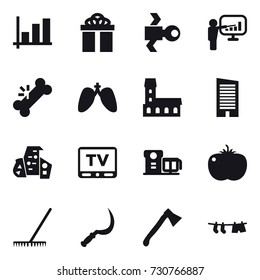 16 vector icon set : graph, gift, satellite, presentation, mansion, skyscraper, modern architecture, tv, rake, sickle, axe, drying clothe