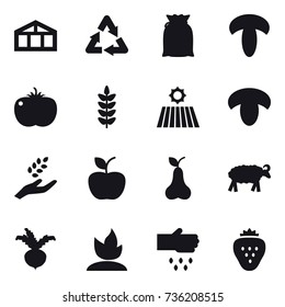 16 vector icon set : greenhouse, field, mushroom, harvest, apple, pear, sheep, beet, sprouting, sow, strawberry