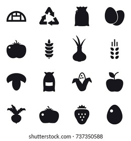 16 vector icon set : greenhouse, spikelets, mushroom, flour, corn, apple, beet, tomato, strawberry, egg
