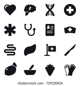 16 vector icon set : heart, brain, dna, mortar, berry, gloves