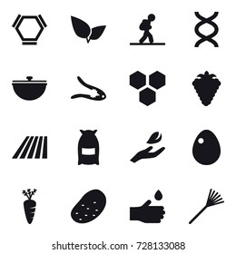 16 vector icon set : hex molecule, tourist, cauldron, walnut crack, honeycombs, berry, field, flour, hand leaf, egg, carrot, potato, hand drop, rake