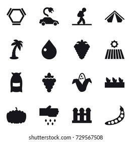 16 vector icon set : hex molecule, electric car, tourist, tent, palm, drop, berry, field, flour, grape, corn, seedling, pumpkin, sow, grain elevator, peas
