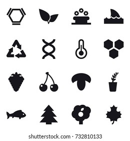 16 vector icon set : hex molecule, flower bed, shark flipper, honeycombs, berry, cherry, mushroom, seedling, fish, spruce, garden, maple leaf