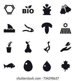 16 vector icon set : hex molecule, bio, flower, flippers, shark flipper, walnut crack, field, seedling, pear, goose, hand leaf, fish, egg, drop, maple leaf