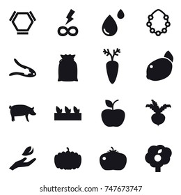 16 vector icon set : hex molecule, infinity power, hawaiian wreath, walnut crack, pig, seedling, apple, beet, hand leaf, pumpkin, tomato, garden