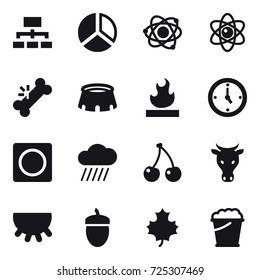 16 vector icon set : hierarchy, diagram, atom, stadium, watch, ring button, rain cloud, cherry, cow, udder, acorn, maple leaf, foam bucket