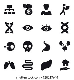 16 vector icon set : hierarchy, money gift, woman, courier, dna, housing