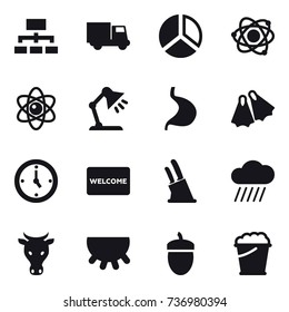 16 vector icon set : hierarchy, truck, diagram, atom, table lamp, flippers, watch, welcome mat, knife holder, rain cloud, cow, udder, acorn, foam bucket