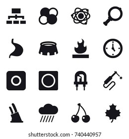 16 vector icon set : hierarchy, atom core, atom, magnifier, stadium, watch, ring button, knife holder, rain cloud, cherry, maple leaf