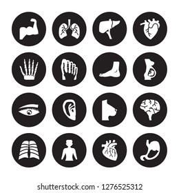 16 vector icon set : Human Muscle, Artery, body standing black, with x ray plate focusing on stomach, Brain, Abdomen, hand bones isolated black background
