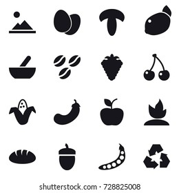 16 vector icon set : landscape, mortar, coffee seeds, berry, cherry, corn, eggplant, apple, sprouting, bread, acorn, peas, recycling