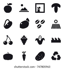 16 vector icon set : landscape, flower in window, coffee seeds, field, cherry, grape, corn, seedling, pumpkin, carrot, potato, recycling