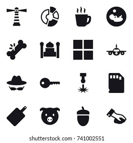 16 vector icon set : lighthouse, circle diagram, hot drink, minaret, window, key, cutting board, pig, acorn, wiping