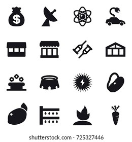 16 vector icon set : money bag, satellite antenna, atom, electric car, market, greenhouse, flower bed, stadium, watering, sprouting, carrot