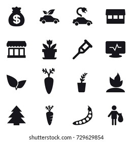 16 vector icon set : money bag, eco car, electric car, market, flower, seedling, sprouting, spruce, carrot, peas, trash