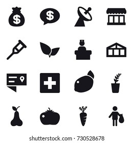 16 vector icon set : money bag, money message, satellite antenna, market, greenhouse, first aid, seedling, pear, tomato, carrot, trash