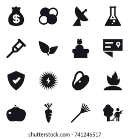 16 vector icon set : money bag, atom core, satellite antenna, flask, sprouting, tomato, carrot, rake, garden cleaning