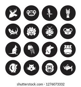 16 vector icon set : Moose, Gorilla, Hamster, Hedgehog, Hippopotamus, Goldfish, Lizard, Kangaroo, Ladybug isolated on black background